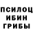 Галлюциногенные грибы Psilocybine cubensis Elicia Vanscyoc