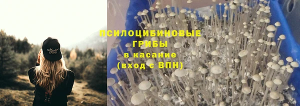 мяу мяу мука Балахна