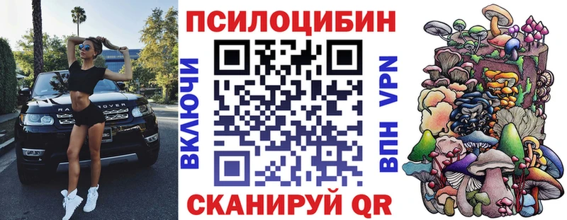Купить где  Белореченск  Псилоцибиновые грибы прущие грибы 